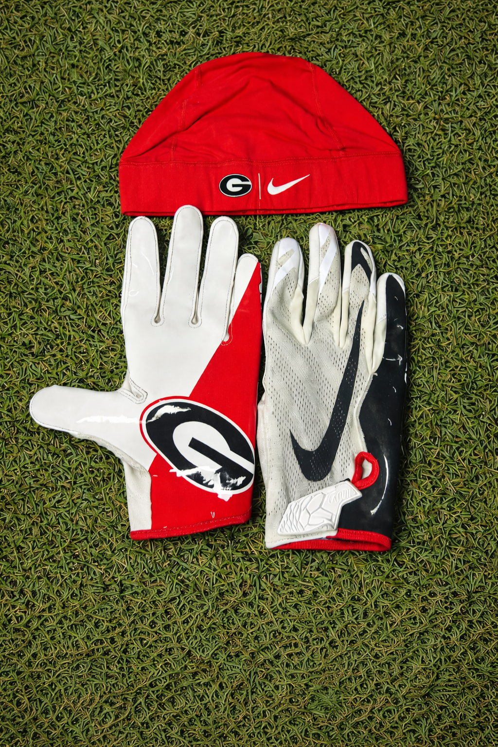 Georgia Bundle 🐶