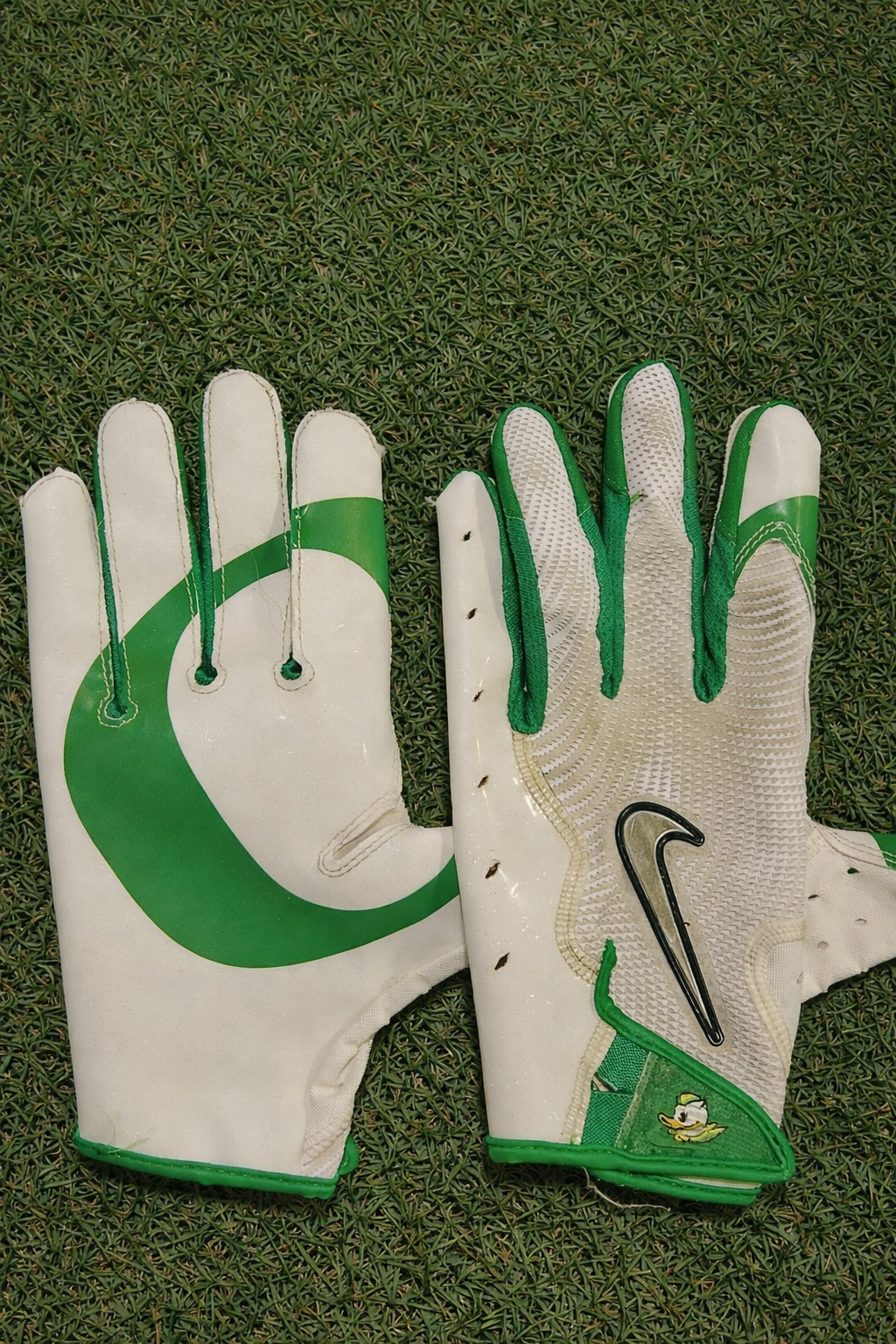 Oregon Gloves 🦆