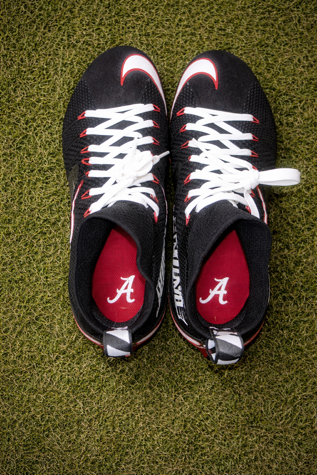 Alabama Untouchables 🐘