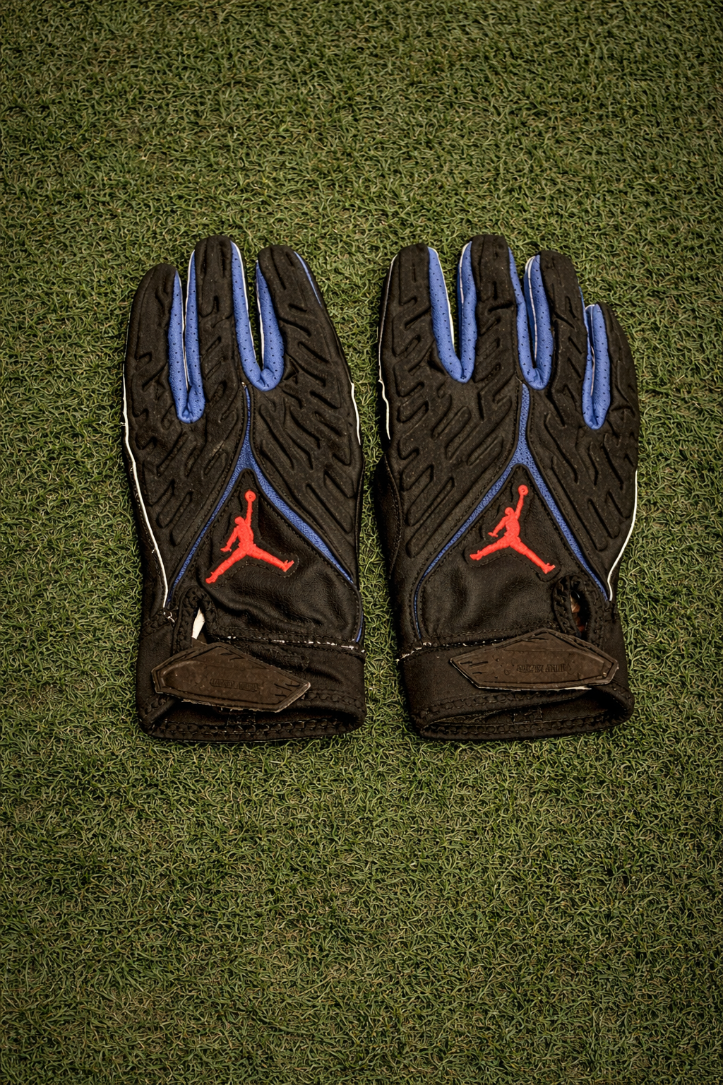 Florida Gloves 🐊