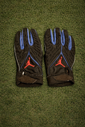 Florida Gloves 🐊