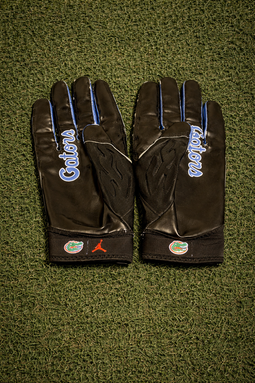 Florida Gloves 🐊